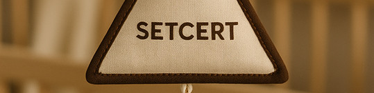 Хүргэлт ирлээ promo